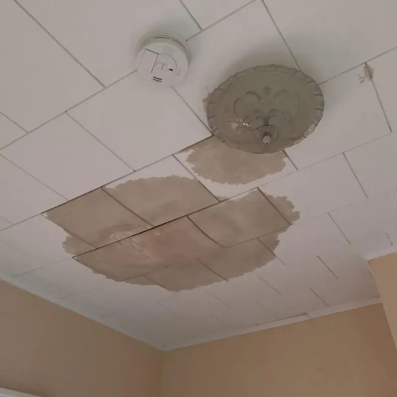 Ceiling Water Damage Repair in Forest City, IA