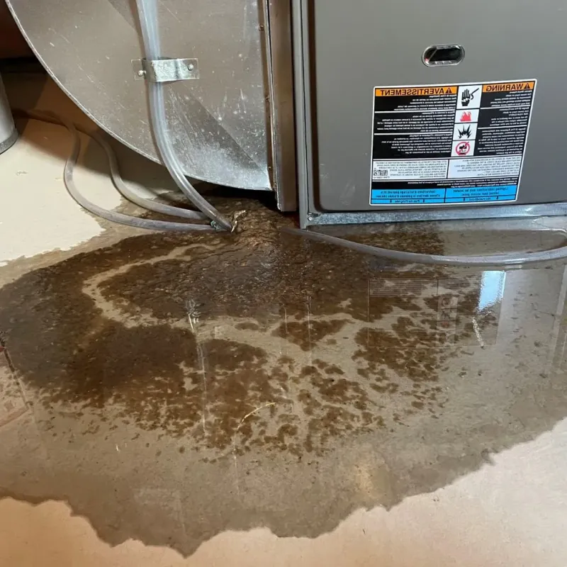 Pipe Burst and Leak Restoration in Forest City, IA